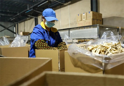 玉屏 市場(chǎng)需求旺，菌棒生產(chǎn)忙，食品互聯(lián)網(wǎng)銷(xiāo)售助農(nóng)增收
